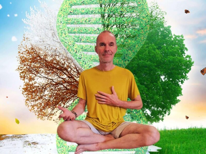 Quantom – Tomáš Fiedler